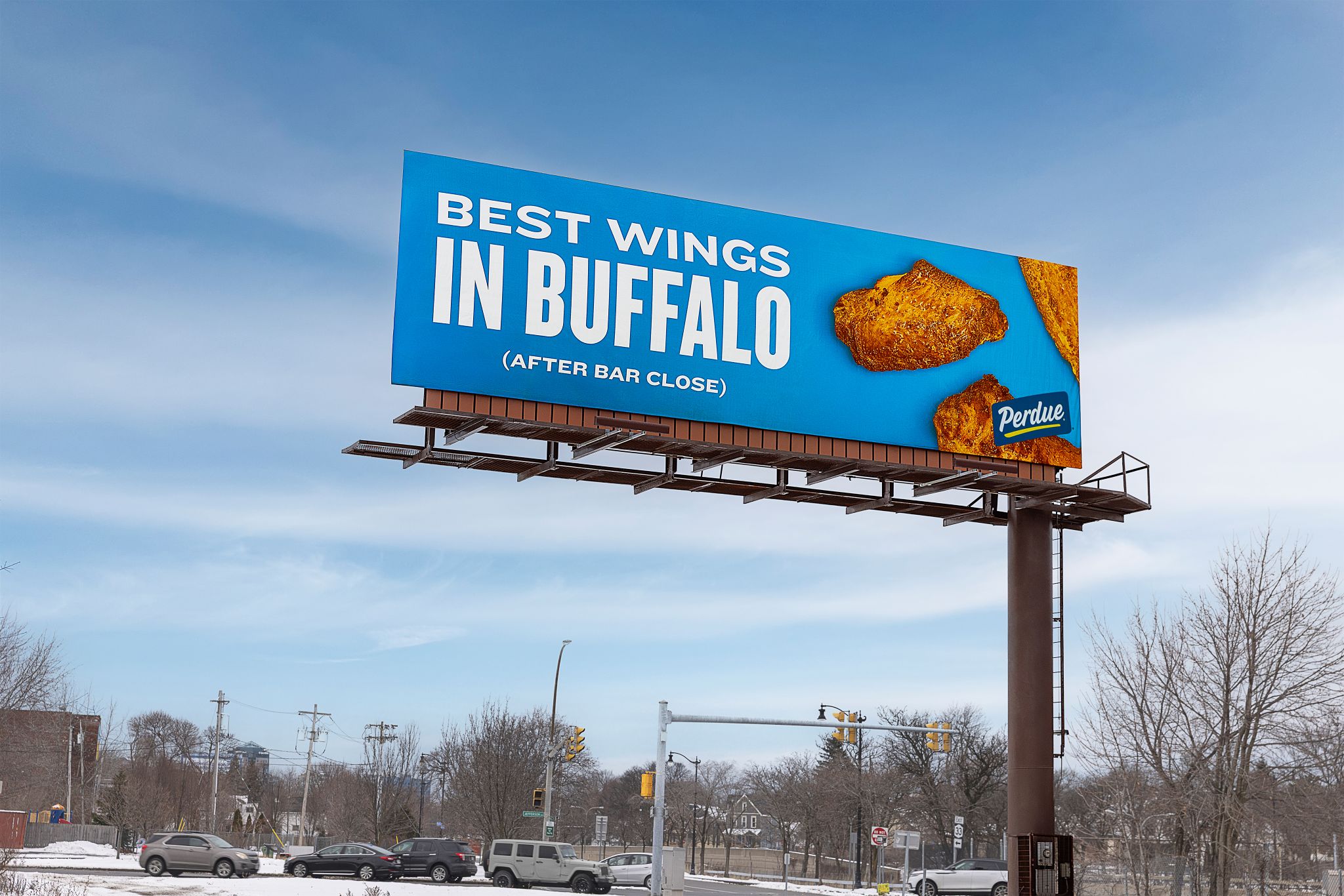 Billboard placed in Buffalo NY for part of Super Bowl Promotional Event
